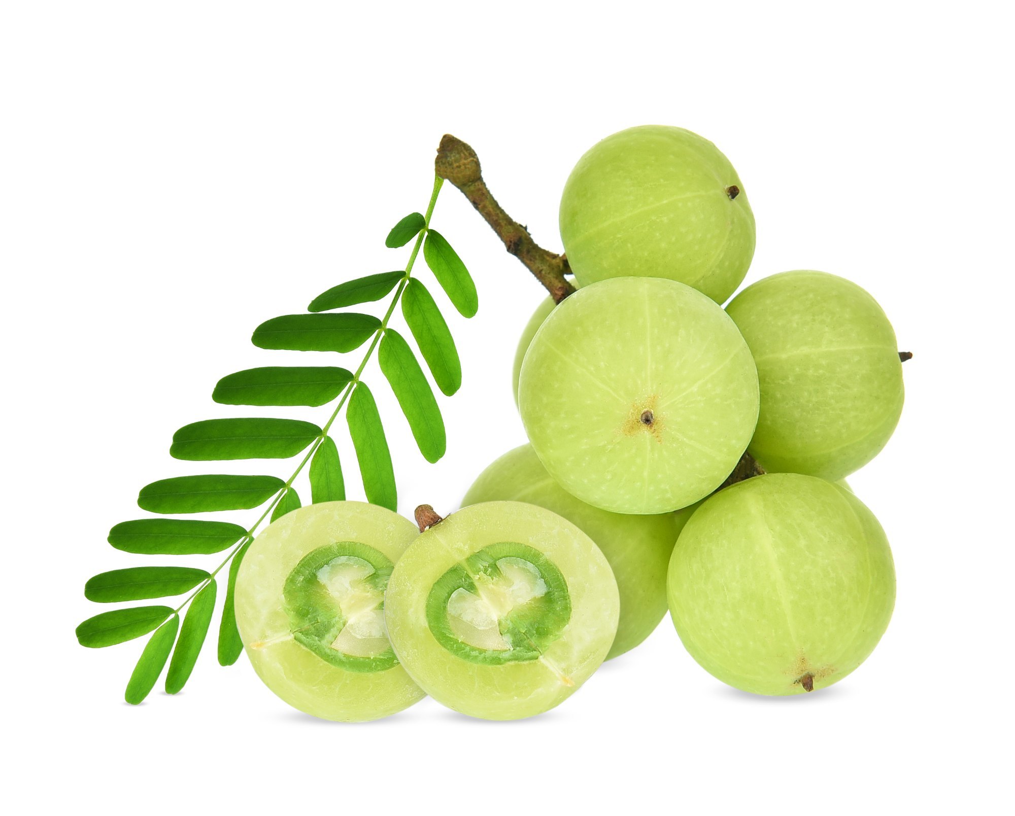 Amla (Emblica officinalis)